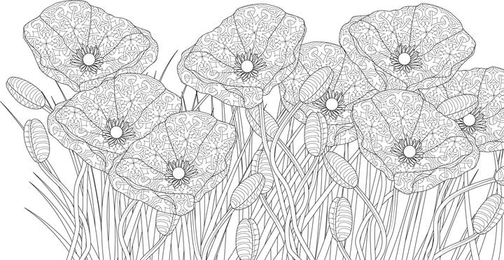 Produktbild Zauberhafte Gärten