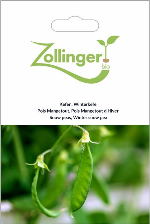 Produktbild Zollinger Bio Kefen (Keimlinge)