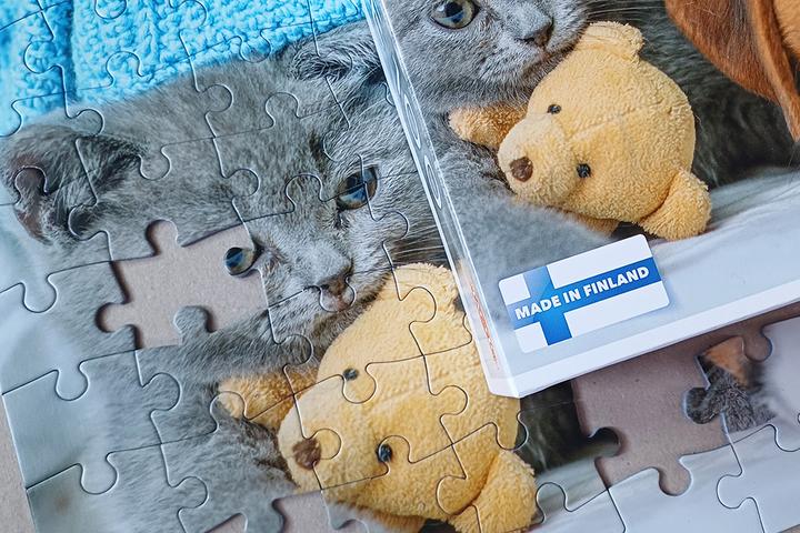 Actual product image Selecta Spielzeug Cute kitten and sleepy dog jigsaw puzzle, 100 pieces. (100 pieces)