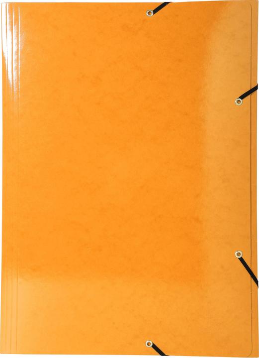 Actual product image Exacompta Collection folder with elastic band (A3, 1 x)