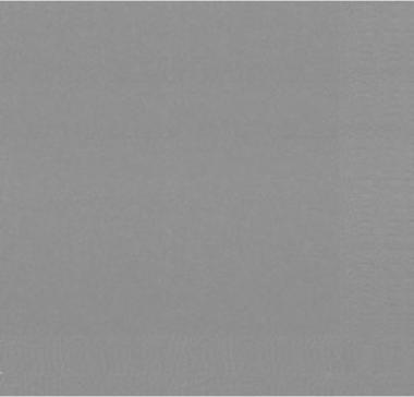 Produktbild Duni Serviet (250 Stk., 24 x 24 cm)