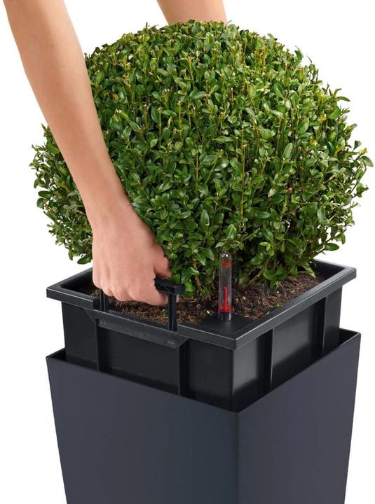 Actual product image Lechuza Cubico Color (29.50 cm)