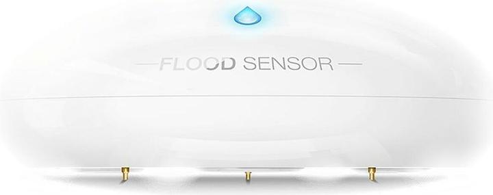 Actual product image Fibaro Flood Sensor +