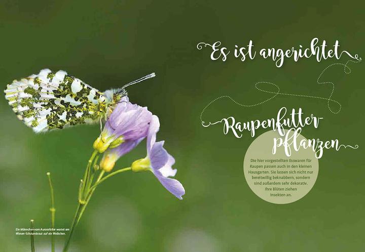 Immagine prodotto Mein Schmetterlingsgarten (Tedesco, Elke Schwarzer, 2022)