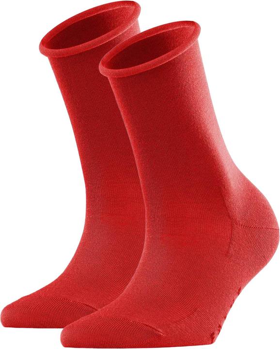 Rot