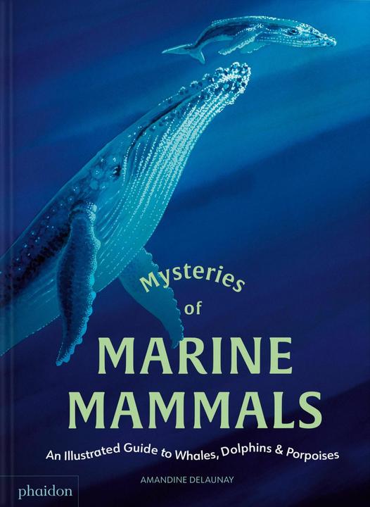 Mysteries of Marine Mammals (Englisch, Amandine Delaunay, 2025)