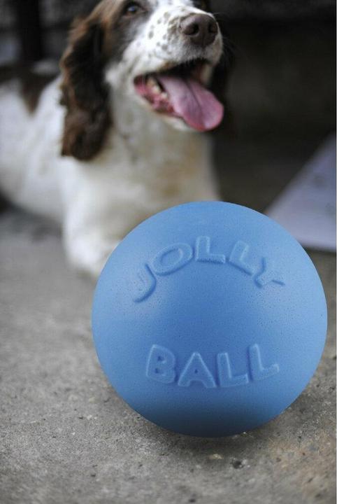 Immagine prodotto Jolly Pets Palla Bounce-n Play 20cm Baby Blue (profumo di bacche blu) - (JOLL068JM)