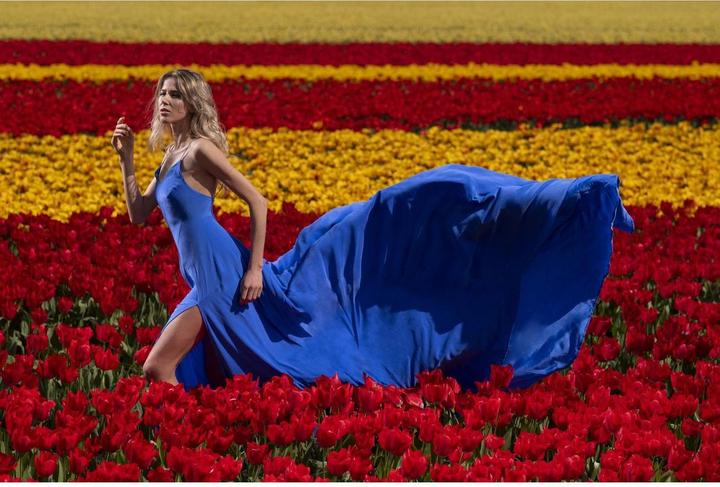 Produktbild Elinchrom ELB 500 TTL Dual To Go (500 W, Set)