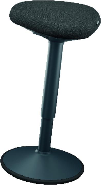 Leitz Ergo Active