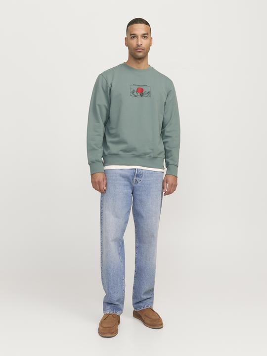 Actual product image Jack & Jones Rddadam Sweat Crew Neck Sn (M)