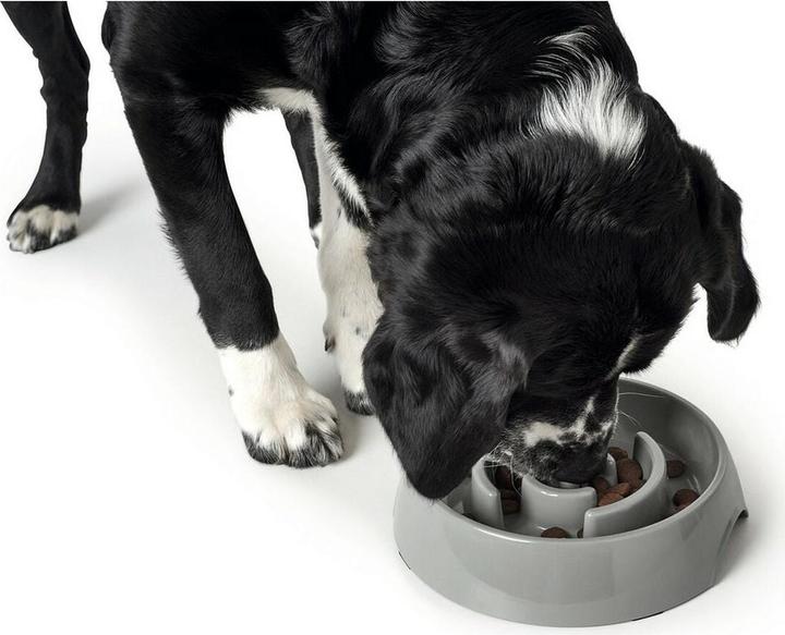 Produktbild Hunter Anti-Schlingnapf Atlanta (55 cl)