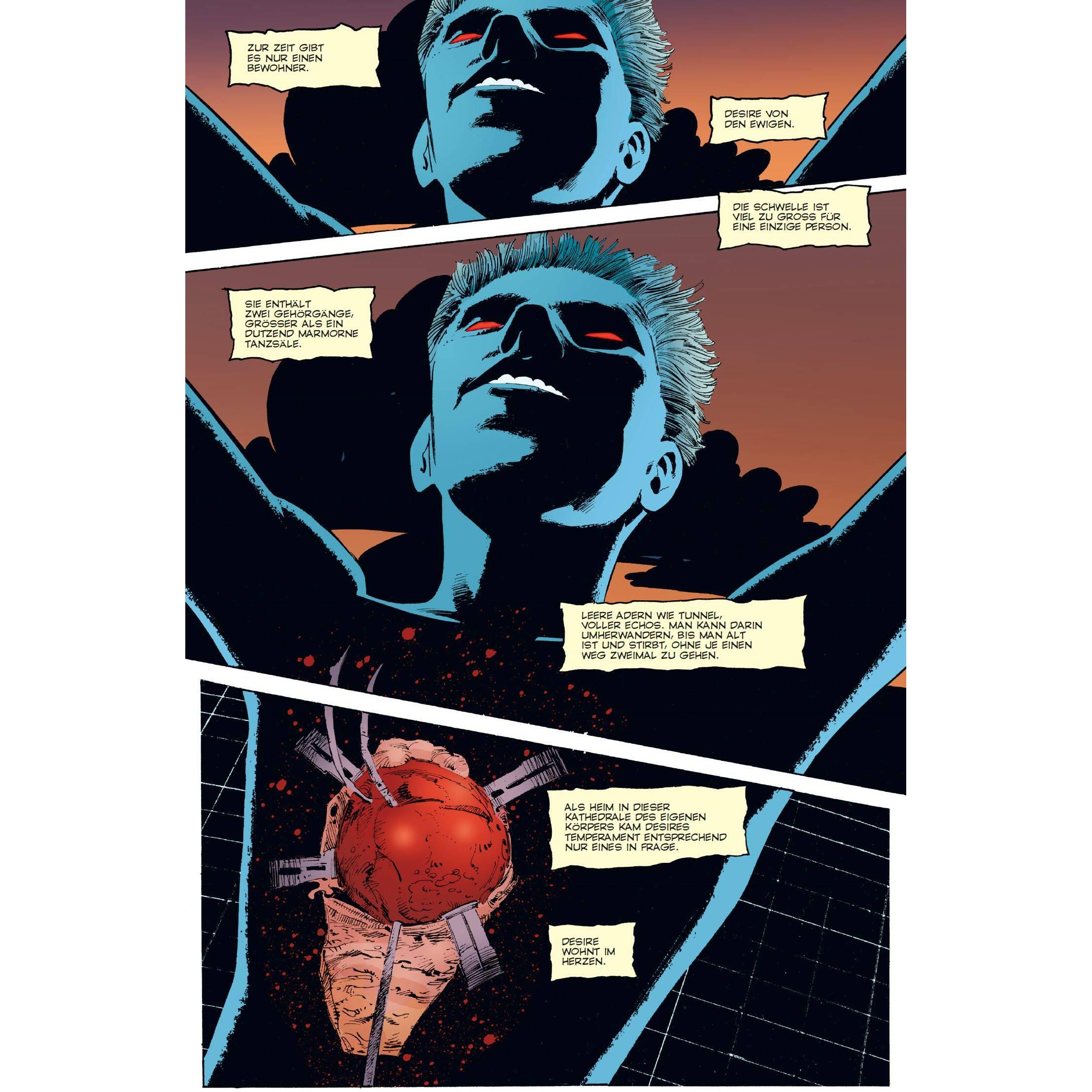Sandman Deluxe, Narrativa di Neil Gaiman