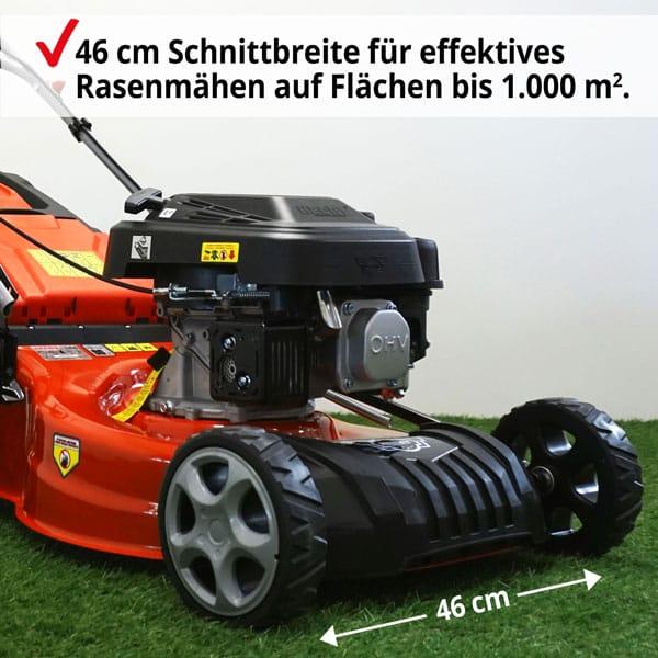 Immagine prodotto Hecht 546 (Benzina)