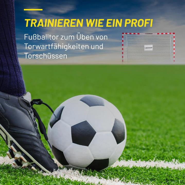 Actual product image Dunlop Soccer goal