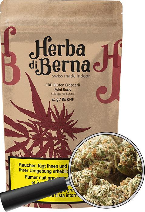 Produktbild Herba di Berna Erdbeerli Mini Buds (42 g, Indoor)