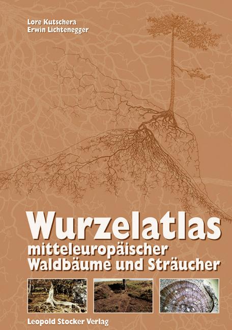 Produktbild Wurzelatlas mitteleuropäischer Waldbäume und Sträucher (Deutsch, Erwin Lichtenegger, Lore Kutschera, 2013)