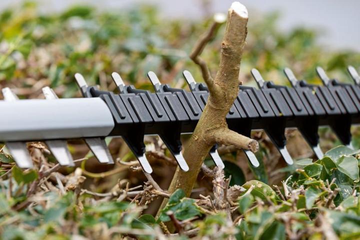 Actual product image Bosch Professional Bosch Heckenschere GHE 18V-60 (II) (Rechargeable battery operated)