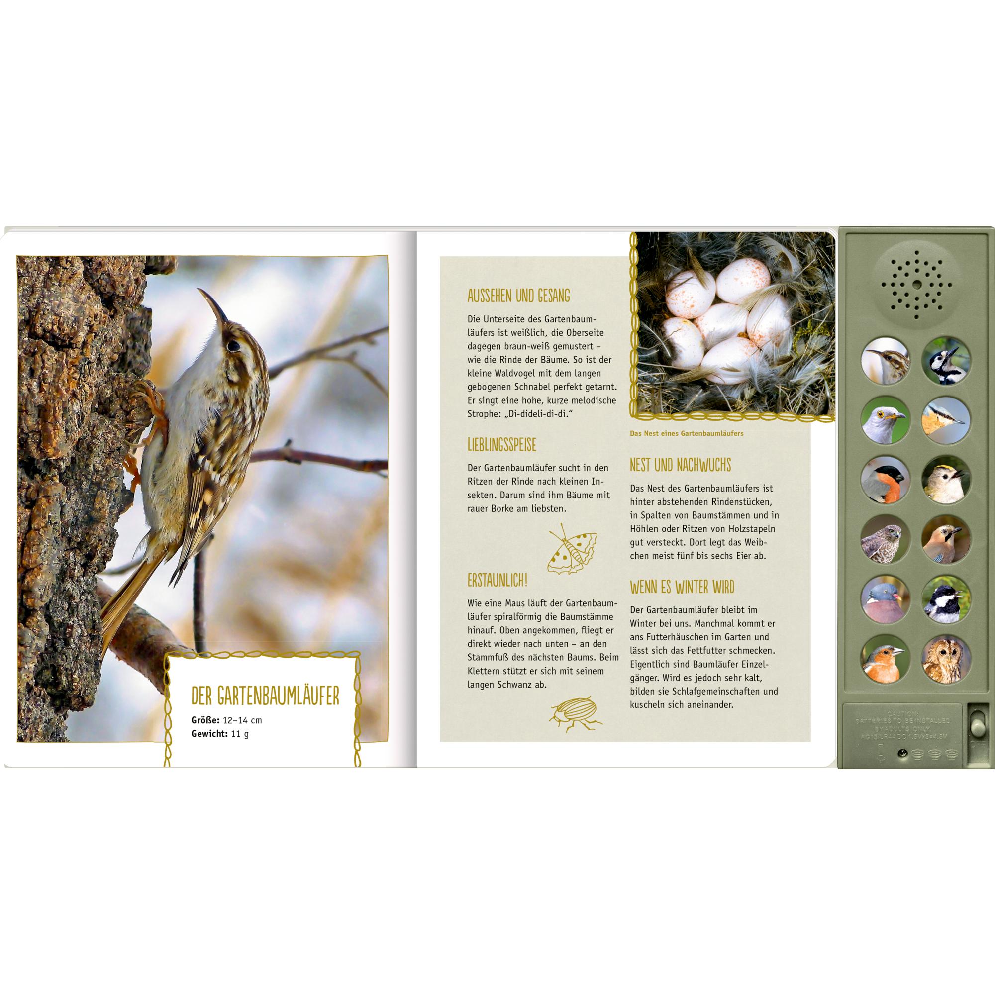 Thumbnail - Vögel in unseren Wäldern, Sachbücher von Holger Haag