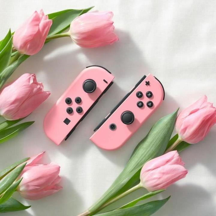 Actual product image Nintendo Joy-Con Set Pastell-Rosa/Pastell-Rosa (Switch)