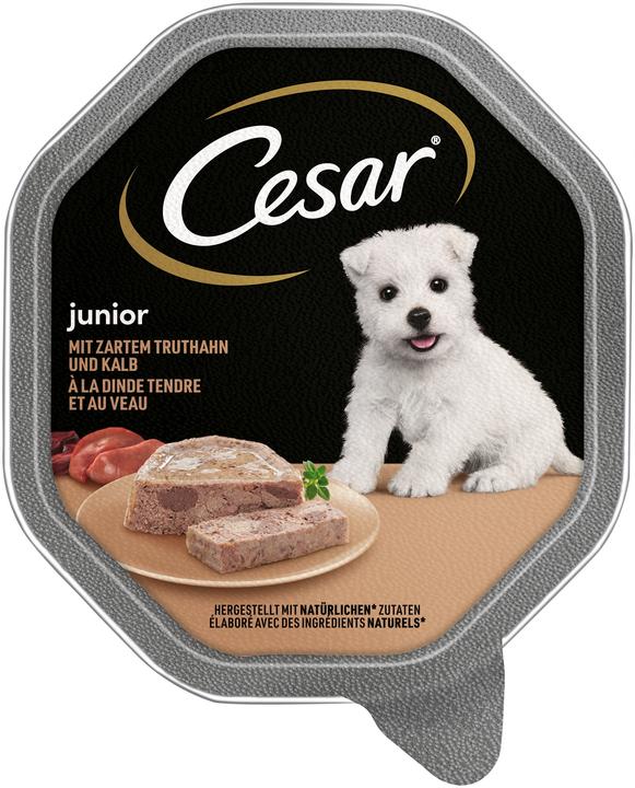 Image du produit Cesar Junior dinde/veau (Junior, 150 g)