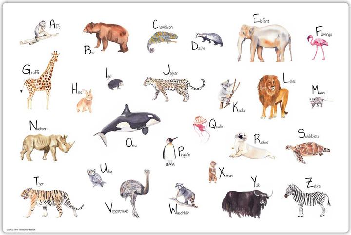 CoverYourDesk Tier ABC (60 x 40 cm)