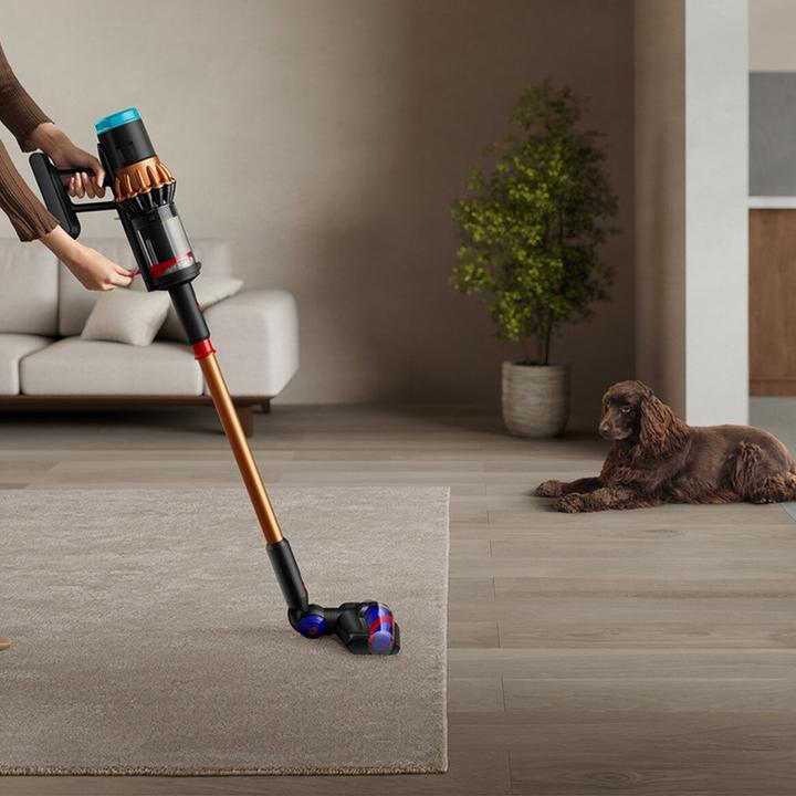 Produktbild Dyson V16 Piston Animal Submarine