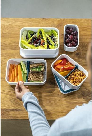 Actual product image Zwilling Dinox FRESH & SAVE plastic lunch box 36801-310-0 1 6 L