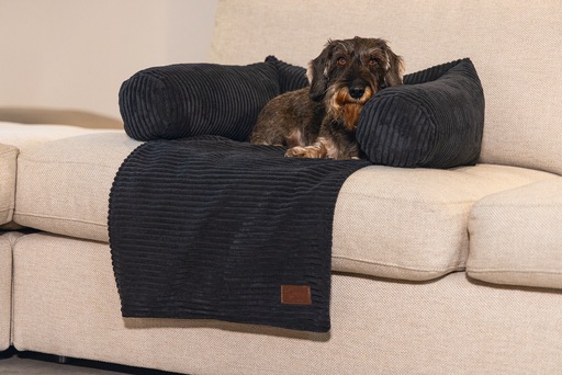 Productafbeelding Designed by Lotte Geribbeld (Hond)