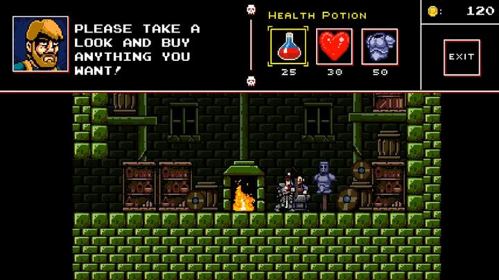 Actual product image Sold Out Skul: The Hero Slayer (Switch, DE)