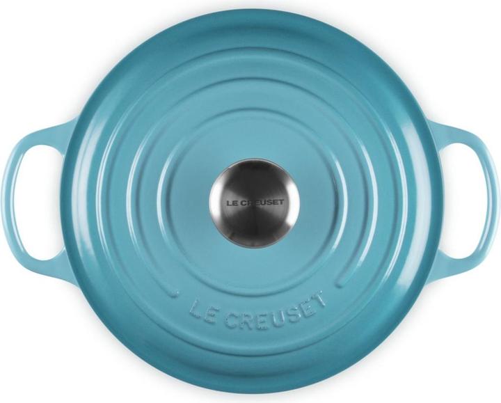 Actual product image Le Creuset Signature (24 cm, Casserole + Stewpot, Cast iron)