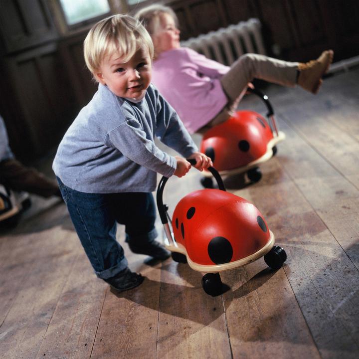 Immagine prodotto Wheely Bug Coccinella piccola