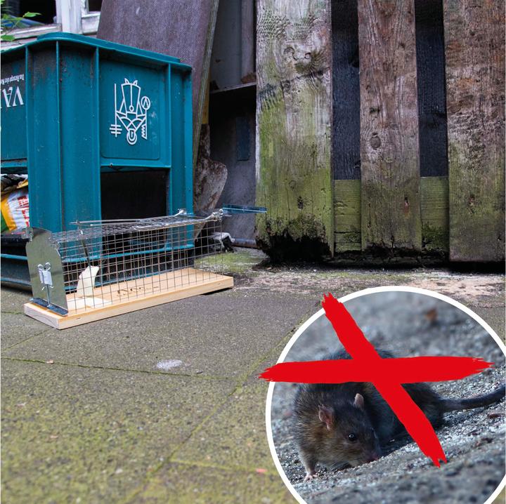 Produktbild Gardigo Lebendfalle Rat Cage Trap Lock