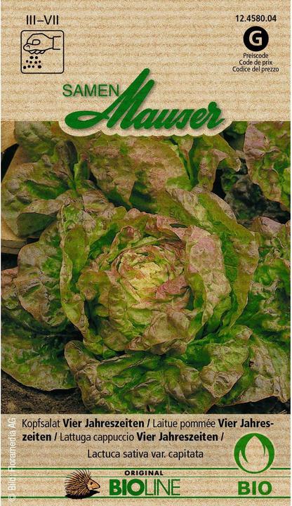 Image du produit Samen Mauser Laitue biologique Bourgeon Quatre Saisons (Graines de légumes)