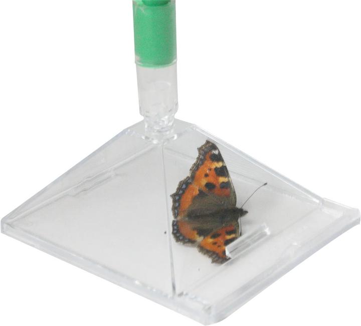 Actual product image Katcha Insect catcher