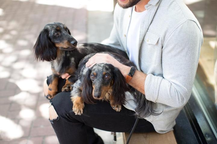 Image du produit Mio Slice Fitness Watch with Sleep and Activity Monitor