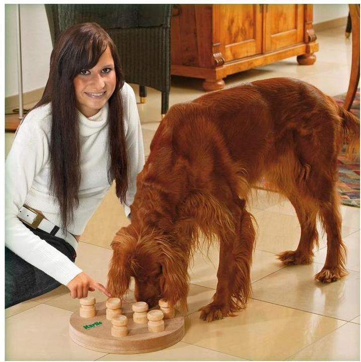 Productafbeelding Karlie Doggy Brain Train (Intelligentie speelgoedhond)
