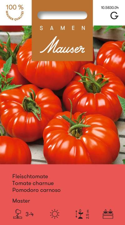 Samen Mauser Fleischtomate Master (Gemüsesamen)