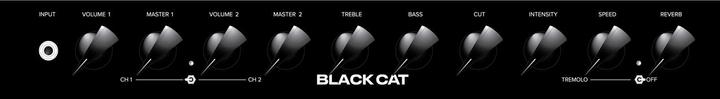 Productafbeelding Bad Cat "Black Cat" 1x12 Combo (Gitaar, 20 W)
