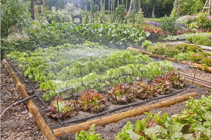 Image du produit Gardena Kit Micro-Drip Système pour potager/jardin de fleurs (Kit d'irrigation goutte à goutte)