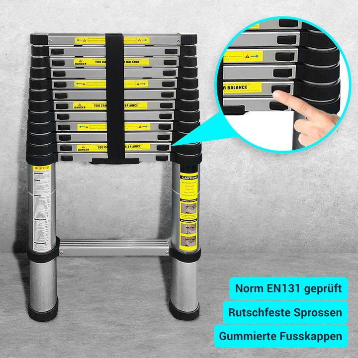 Actual product image Eaxus Teleskopleiter (Telescopic ladder, 260 cm)