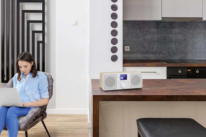 Actual product image Renkforce RF-IRDAB-RETRO1 (DAB+, FM, Bluetooth, Wi-Fi)