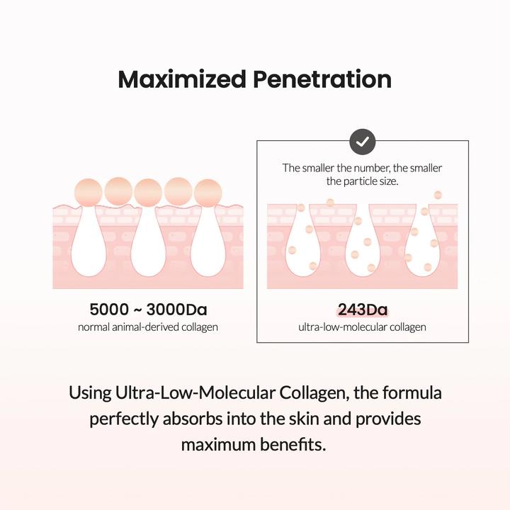 Actual product image Biodance Biodanc Pore Tightening Collagen Ampoule 50ml - Pore Tightening Serum (50 ml)