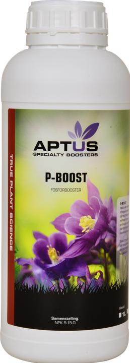 Produktbild Aptus P-Boost (0.99 kg, 1 l)