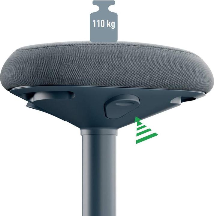 Actual product image Leitz Ergo Active