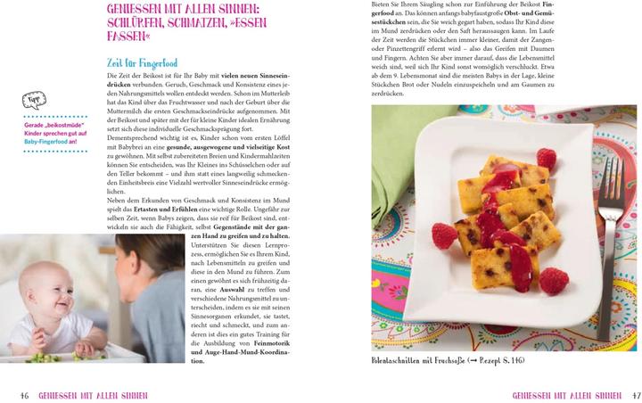 Produktbild Das grosse Buch von Babybrei & Beikost (Deutsch, Natalie Stadelmann, 2019)
