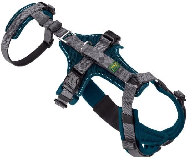 Actual product image Hunter Safety harness (Dog, Walks)
