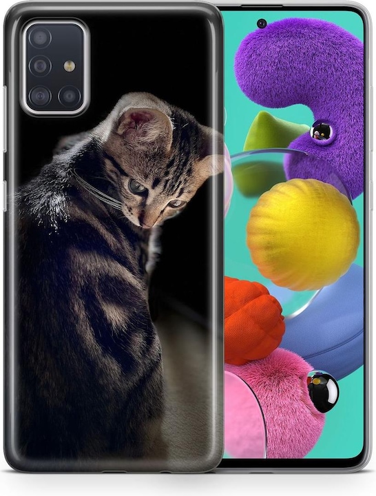 Junge Katze