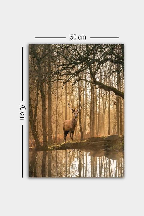 Produktbild Wallxpert Jade (50 x 70 cm)