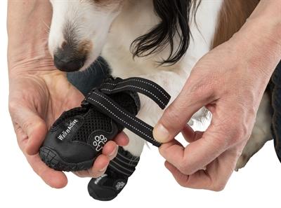 Actual product image Trixie Paw Protector Walker Active Gr.L-XL (L, XL, Dog boots)