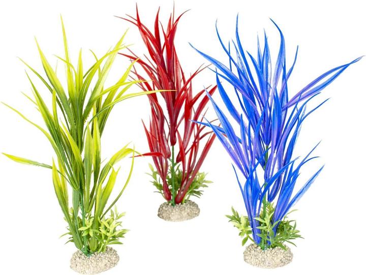 EBI Aqua Della Plante Amazon Sword Set M (Décoration, Plantes)